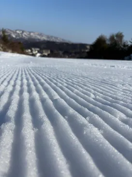 胎内スキー場に投稿された画像（2026/2/15）