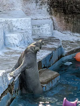 天王寺動物園に投稿された画像（2026/2/15）