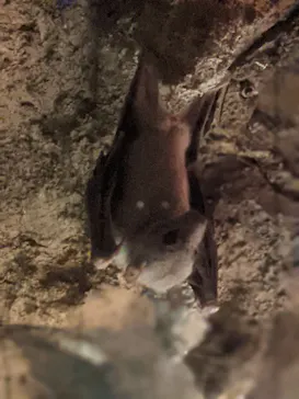 天王寺動物園に投稿された画像（2026/2/15）