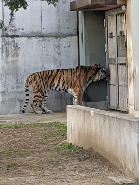 天王寺動物園に投稿された画像（2026/2/15）