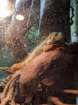 天王寺動物園に投稿された画像（2026/2/15）