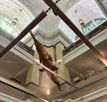 国立科学博物館に投稿された画像（2026/2/15）