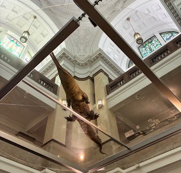 国立科学博物館に投稿された画像（2026/2/15）