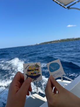 Sea World（シーワールド）に投稿された画像（2026/2/15）