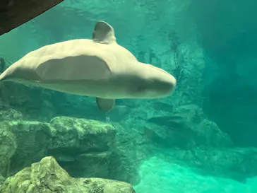 名古屋港水族館に投稿された画像（2026/2/15）