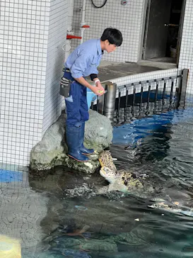 名古屋港水族館に投稿された画像（2026/2/15）
