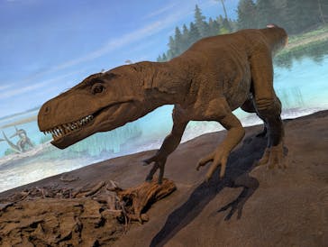 福井県立恐竜博物館に投稿された画像（2026/2/15）