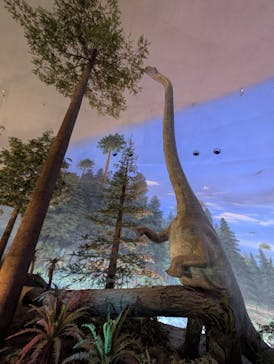 福井県立恐竜博物館に投稿された画像（2026/2/15）