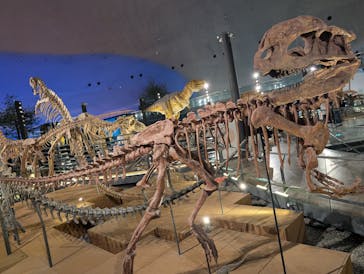 福井県立恐竜博物館に投稿された画像（2026/2/15）