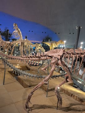 福井県立恐竜博物館に投稿された画像（2026/2/15）