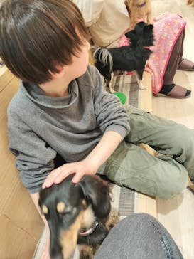 いぬカフェRio 秋葉原店に投稿された画像（2026/2/15）