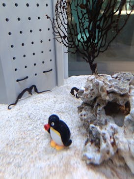 AOAO SAPPOROに投稿された画像（2026/2/15）