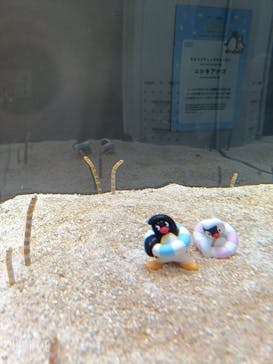 AOAO SAPPOROに投稿された画像（2026/2/15）