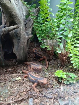 AOAO SAPPOROに投稿された画像（2026/2/15）