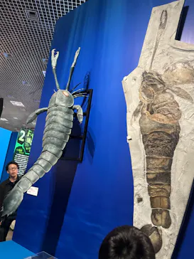 印象派オルセー展×大絶滅展に投稿された画像（2026/2/15）