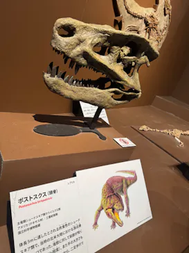 印象派オルセー展×大絶滅展に投稿された画像（2026/2/15）