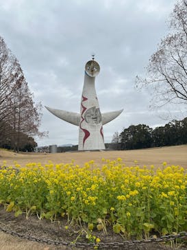 万博記念公園に投稿された画像（2026/2/15）