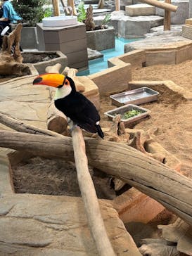 NIFREL（ニフレル）に投稿された画像（2026/2/15）