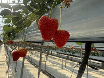 株式会社こまち野に投稿された画像（2026/2/15）