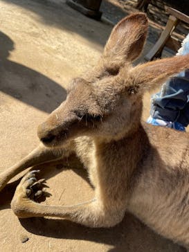 長崎バイオパークに投稿された画像（2026/2/15）