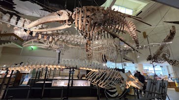 太地町立くじらの博物館に投稿された画像（2026/2/15）