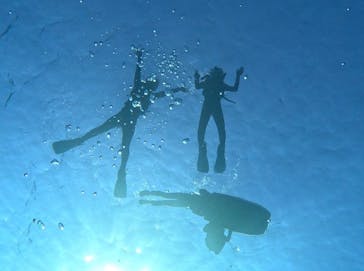 MalDive（モルダイブ）に投稿された画像（2026/2/15）