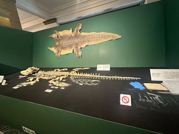 国立科学博物館に投稿された画像（2026/2/15）