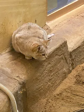 こども動物自然公園（埼玉県公園緑地協会）に投稿された画像（2026/2/15）