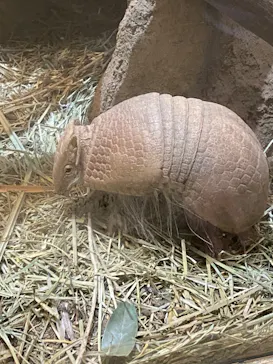 こども動物自然公園（埼玉県公園緑地協会）に投稿された画像（2026/2/15）
