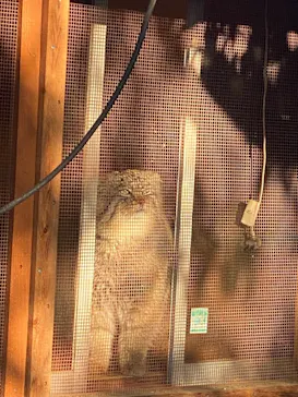 こども動物自然公園（埼玉県公園緑地協会）に投稿された画像（2026/2/15）