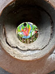 OKINAWAフルーツらんどに投稿された画像（2026/2/15）