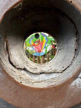 OKINAWAフルーツらんどに投稿された画像（2026/2/15）