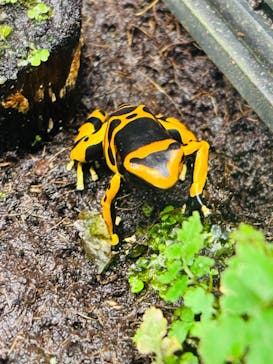 サンシャイン水族館に投稿された画像（2026/2/15）