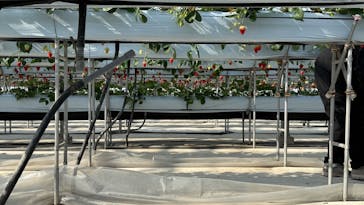 株式会社こまち野に投稿された画像（2026/2/15）