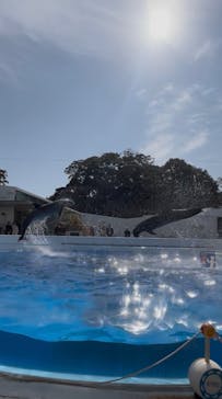 九十九島水族館海きららに投稿された画像（2026/2/15）