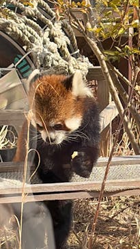 日立市かみね動物園に投稿された画像（2026/2/15）