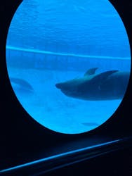 南知多ビーチランド＆南知多おもちゃ王国に投稿された画像（2026/2/15）