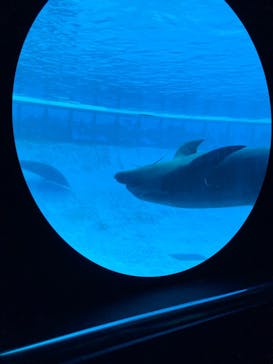 南知多ビーチランド＆南知多おもちゃ王国に投稿された画像（2026/2/15）