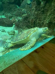 南知多ビーチランド＆南知多おもちゃ王国に投稿された画像（2026/2/15）