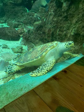 南知多ビーチランド＆南知多おもちゃ王国に投稿された画像（2026/2/15）