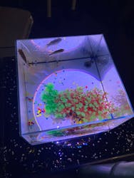 南知多ビーチランド＆南知多おもちゃ王国に投稿された画像（2026/2/15）