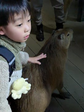 カワスイ 川崎⽔族館に投稿された画像（2026/2/15）