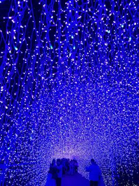 江の島シーキャンドルに投稿された画像（2026/2/15）