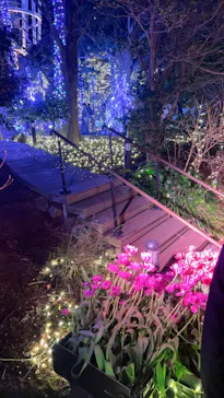 江の島シーキャンドルに投稿された画像（2026/2/15）