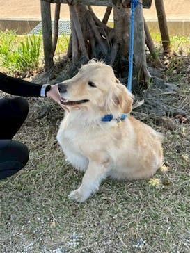 沖縄マリンサービスTI.OCEANに投稿された画像（2026/2/15）