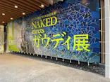 NAKED meets ガウディ展に投稿された画像（2026/2/15）