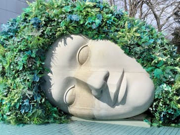 彫刻の森美術館に投稿された画像（2026/2/15）