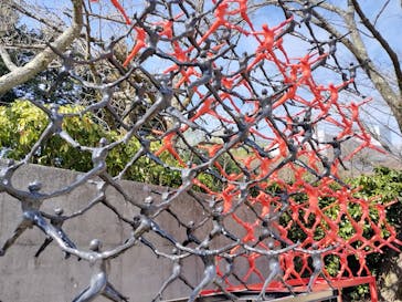 彫刻の森美術館に投稿された画像（2026/2/15）