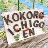 心いちご園に投稿された画像（2026/2/15）