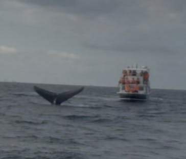 JAM（ジャム）マリンクラブに投稿された画像（2026/2/15）